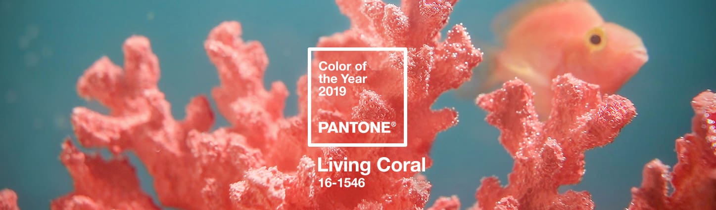 pantone-color-of-the-year-2019-living-coral