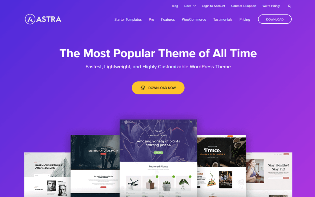 5 Best WordPress Themes For Your Website in 2024